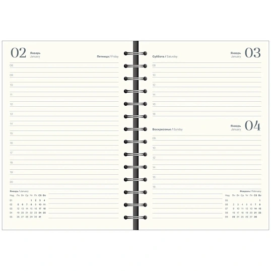 Ежедневник датированный 2026 IF 14х20см 160л, на спир, Basic I1751emb/blue