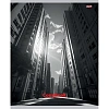 Тетрадь клетка 48Л. А5 МЕГАПОЛИС В ЧЁРНО-БЕЛОМ, цвет.мелов.обл,асс,48-5748