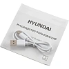 Микрофон Hyundai H-MIC101, черный, беспроводной