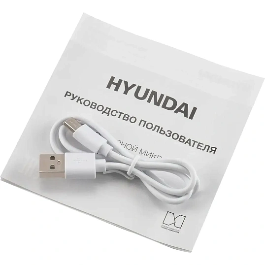 Микрофон Hyundai H-MIC101, черный, беспроводной
