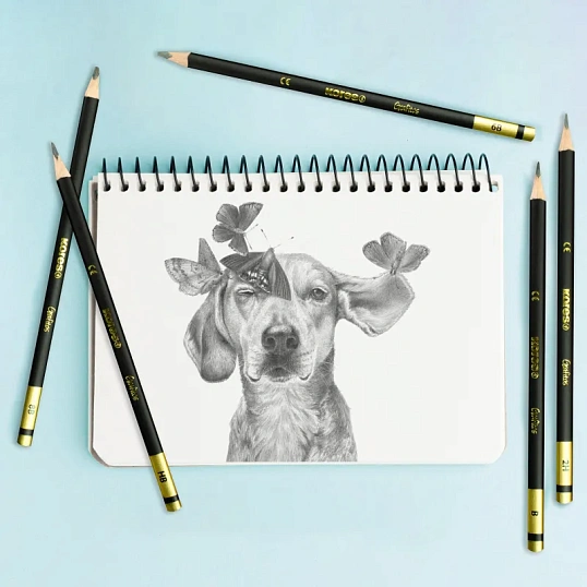 Набор карандашей чернографитных Kores GRAFITOS,трехгр.12 шт.(2Н-8В), 92162