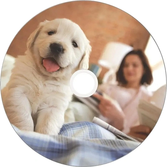 Носители информации DVD-R Verbatim 4.7Gb 16x Cake 50шт/уп Printable (43755)