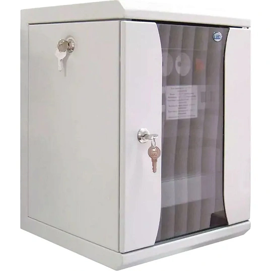 Шкаф настенный телеком. ЦМО 10 8U, (320х255) 420x320x305 (ШРН-8.255-10)