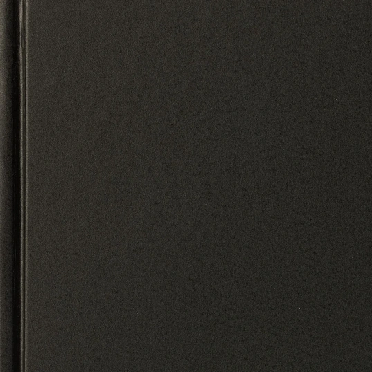 Ежедневник датированный 2026 А5+ IDEAL NEW черный 3-344/03