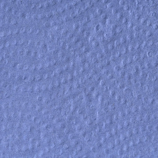 Бумага протирочная лист Luscan Professional Optima 2сл Zсл 200л/уп голубая