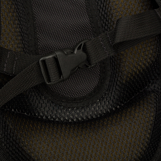 Ранец Комус Класс LEO бежевый ,Basic, 2 отд., эргоном. Спинка