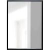 Зеркало МИР_в раме ПЛС 540х30х740 / 500х700 (365007730) черный