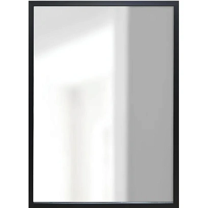 Зеркало МИР_в раме ПЛС 540х30х740 / 500х700 (365007730) черный