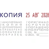 Датер автоматический с 12 бух.терминами 3,8мм S120/WD (аналог 4817) Colop