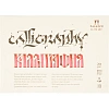 Альбом планшет для каллиграфии Palazzo А5 148х210мм 12л 250г ПЛ-2315
