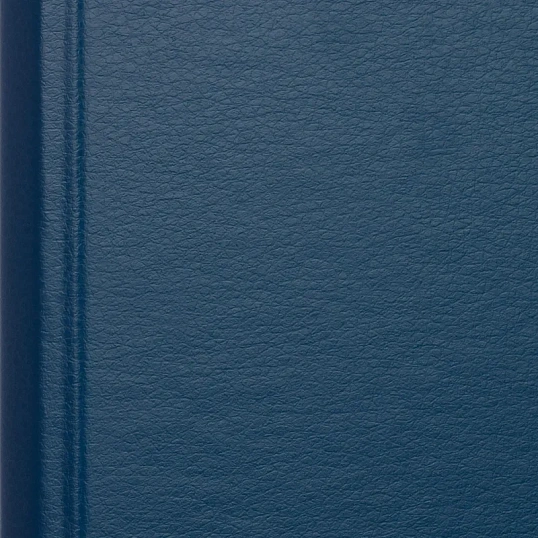 Папка с зажимом синяя Дания-Россия