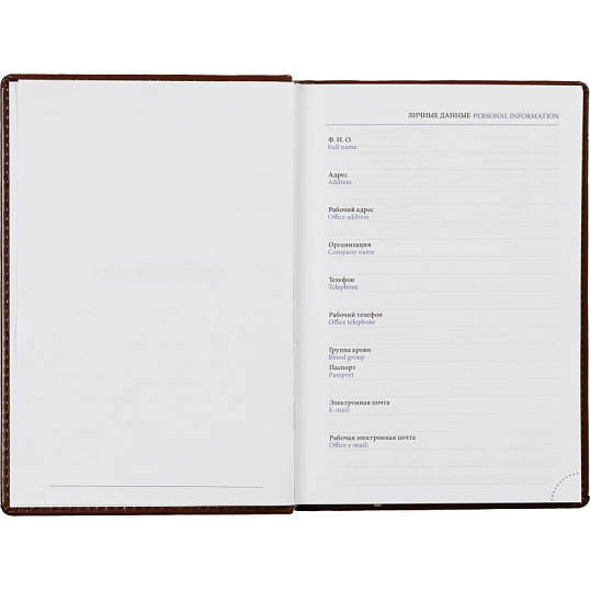Ежедневник недатированный коричн, А5, 148x218, 352стр, Agenda