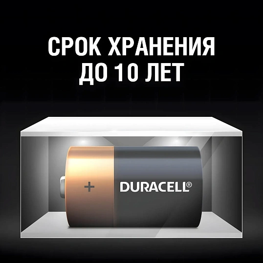 Батарейка DURACELL BASIC D/LR20-2BL