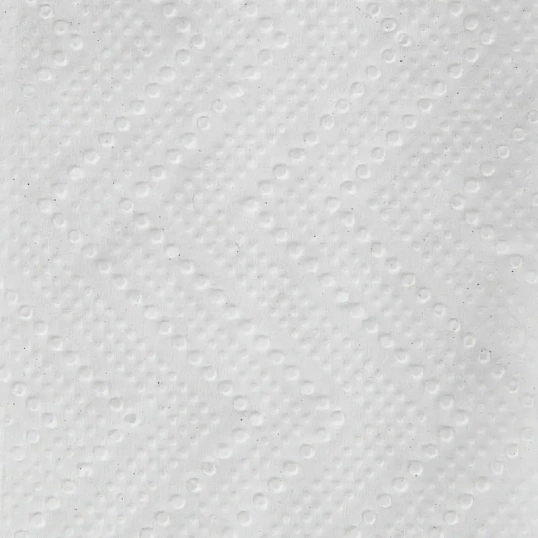 Полотенца бумажные д/дисп. Luscan Professional Zсл1слвт190л21пач/уп