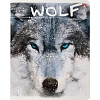 Тетрадь общая А5 ,48л, клетка, ЗАГАДОЧНЫЕ ВОЛКИ NEW, 5 шт в уп,7-48-596/5