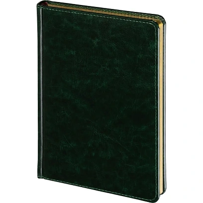 Ежедневник недатированный зелен,А5,145х205мм,136л, Sidney NEBRASKA 3-128/05