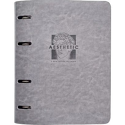 Тетрадь со сменным блоком А5,120л,Infolio Study,Antic,иск.кож,N3801