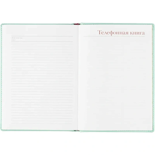Ежедневник недатированный А5+, 136л, Velvet зефирный мятный 3-115/36