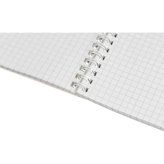 Тетрадь общая Attache Cristal,80л,клет,А4,спир,обл.мел.карт