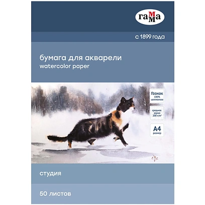 Папка для акварели, 50л.А4,ГаммаСтудия200г/м2,сред.зерно,40C03F750W
