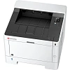 Принтер Kyocera ECOSYS P2235dn (1102RV3NL0)