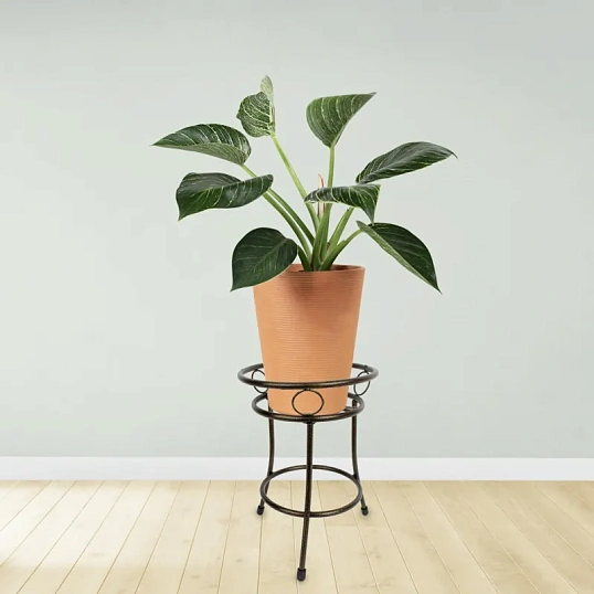 Подставка для цветов 'Пион', 1 г., бронза, 1/1, Ц6