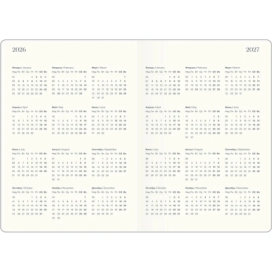 Ежедневник датированный 2026 IF 14х20см 176л, интегр Fortune I1723/black