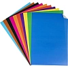 Картон цветной Выбор есть Отличник 20л 10цв А4 мелован.пакет