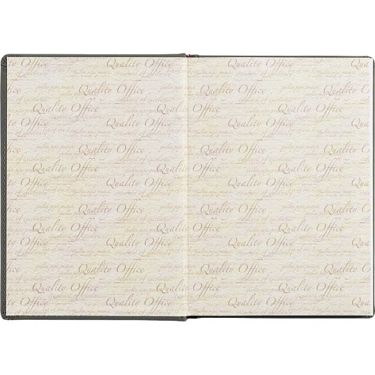 Ежедневник недатированный А5 145 х 205 мм Velvet серый 272 стр. 3-115/13