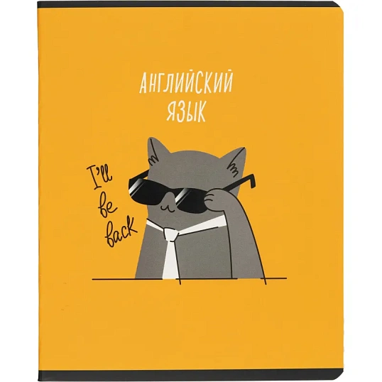 Тетрадь предметная набор Комус Класс  Котики 12 шт., 48., А5