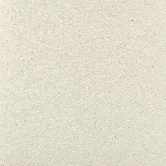 Полотенца бумажные д/дисп. Luscan Professional Vсл1слвт200л20пач/уп