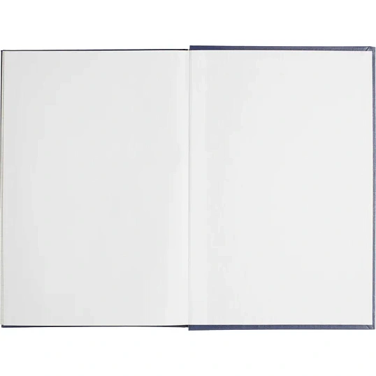 Книга учета Выбор есть А4 96л клетка блок типограф бумвинил