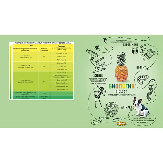 Тетрадь предметная Ребус 48л А5, клетка БИОЛОГИЯ, 73850