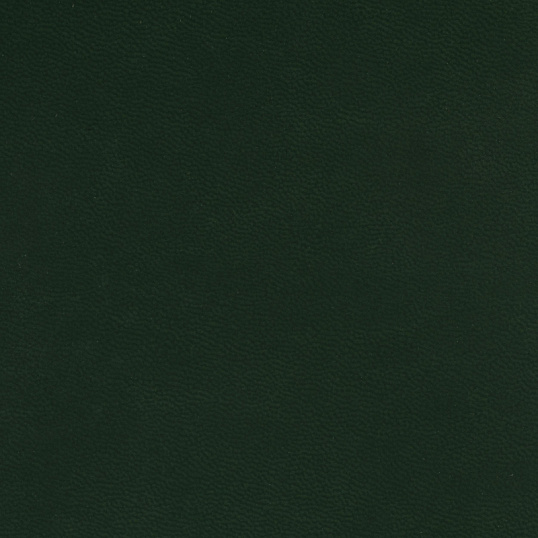 Ежедневник недатированный А5+ Velvet, темно-зеленый 3-115/24
