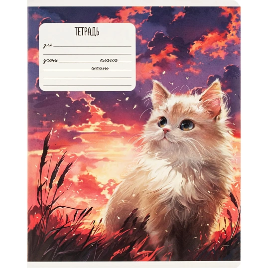 Тетрадь 24л., клетка,А5+ МЕЧТЫ КОТА,ассортимент 68536