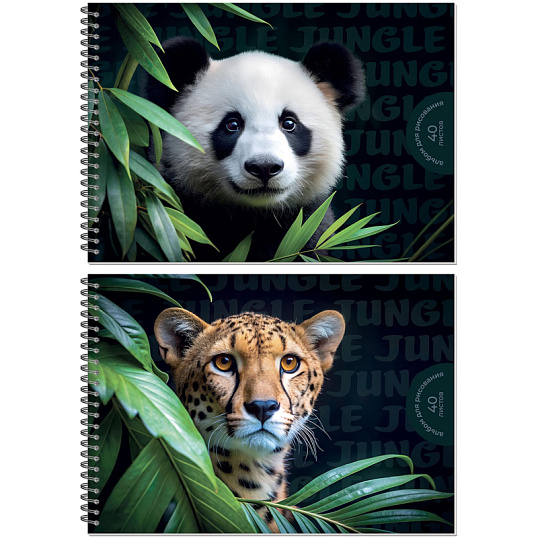 Альбом для рисования Комус Класс Дикие животные,А4,40л,спираль,в асс,2шт/уп