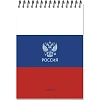 Блокнот А5 Россия 50л УФ лак клетка, спираль 2 дизайна, ассорти, 3344