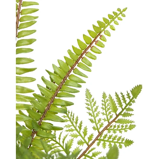 Растение Цветок искусственный Папоротник керам горшке, Д120 Ш120 В420,Mia12