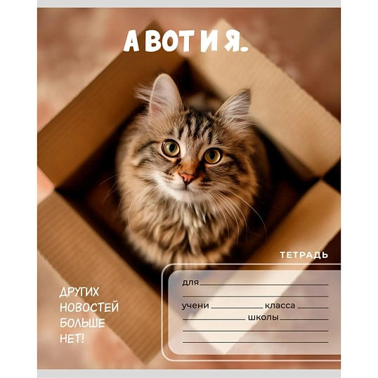 Тетрадь КЛЕТКА 24л. ЗАБАВНЫЕ КОТЫ - 6 цвет.мелов.обл.,ассорти 24-0896