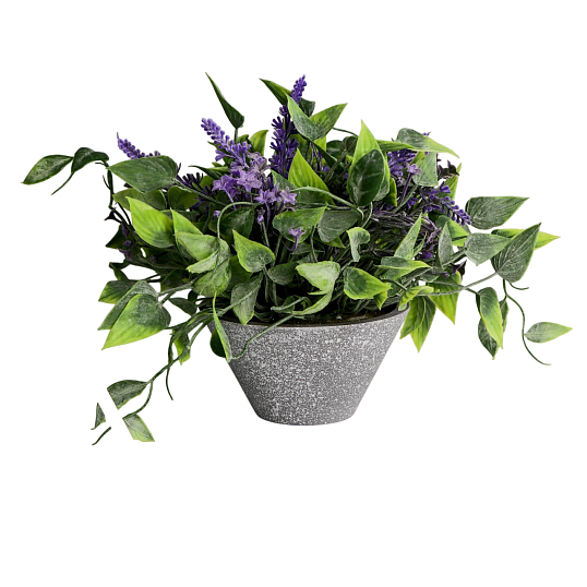 Растение бонсай в горшке Лиана и мелкие цветочки 11х16 см, микс 4642631