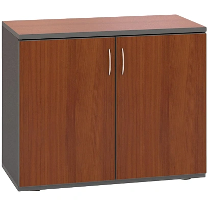 Шкаф SH_Стратегия  -тумба низк.2дв.T11 (154719) Н.Милано