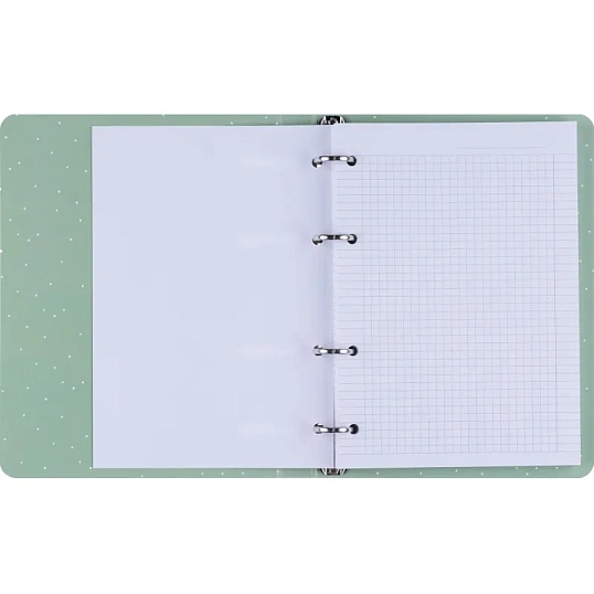 Тетрадь общая, BS, А5, 120л., клетка, кольца, Mur-Mur, вжух N4232
