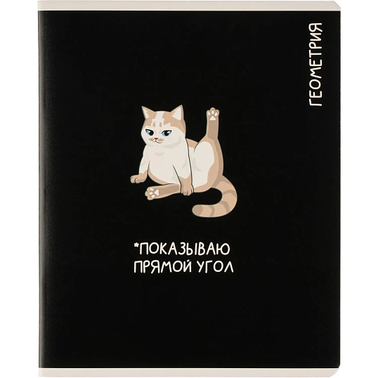 Тетрадь предметная КОТЫ МЕМЫ, набор12 шт.48л,А5+, клетка/линия/71449