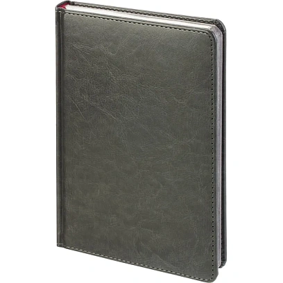 Ежедневник недатированный А5+ SIDNEY NEBRASKA серый,сереб.обр,136л 3-128/22