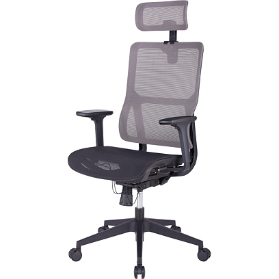 Кресло BN_Zm_EChair-601 MC сетка, серый/черный