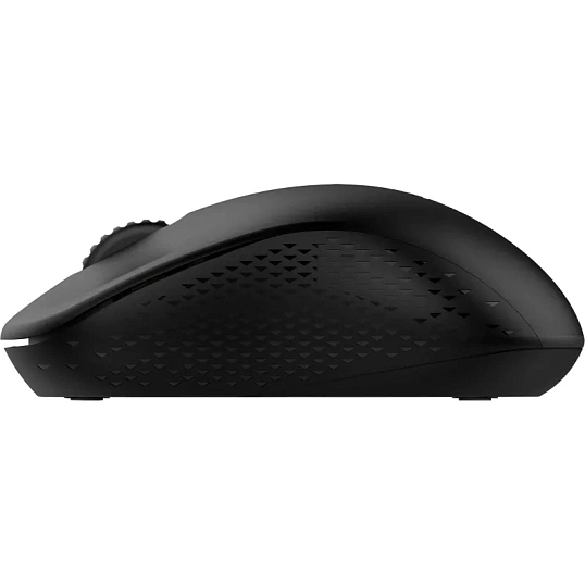 Мышь компьютерная RAPOO беспроводная M20 Silent - черный