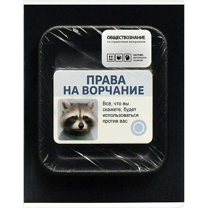 Тетрадь предметнaя ОБЩЕСТВОЗНАНИЕФРАЗЫ С ХАРАКТЕРОМ48л.А5+,кл,справ/73073