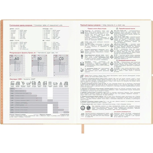 Ежедневник датированный 2027 ESCALADA А5 (146x211) 176л  бежевый 73533