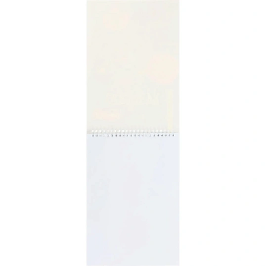 Скетчбук Комус Арт А4 (207x297 мм), 30 л., белая бумага 160 г/м2, гребень