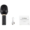 Микрофон Hyundai H-MIC101, черный, беспроводной